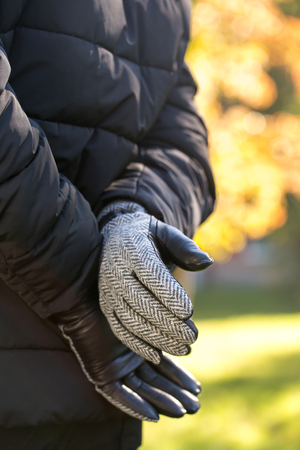 leather and fabric glovesの写真素材