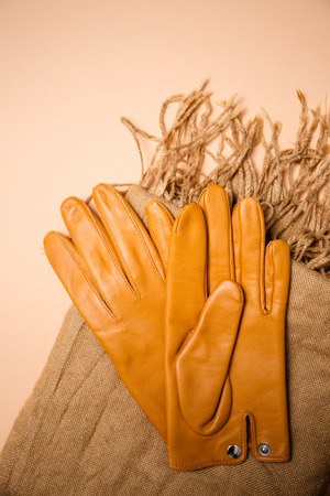 Collection of autumn itemsの写真素材