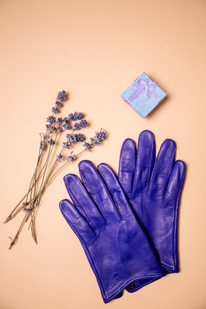 gift box and glovesの写真素材