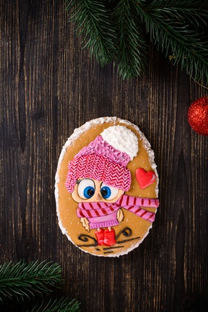 Sweet Christmas dessert with chickenの写真素材