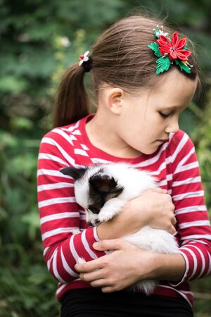 Girl playing with puppies on the grassの写真素材
