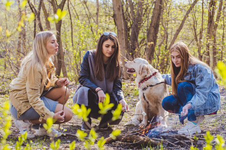 Three girls with a dog are resting in the forest and roasting marshmallows