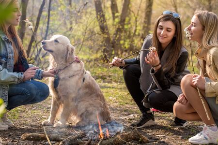 Three girls with a dog are resting in the forest and roasting marshmallowsの写真素材