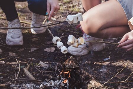 girls with a dog are resting in the forest and roasting marshmallowsの写真素材