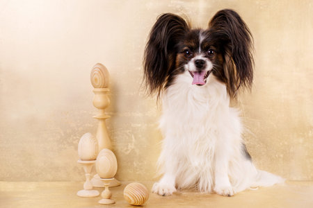 Dog and Eggs on stands on a gold background. Easter concert