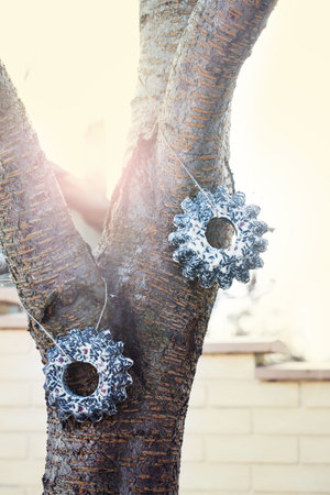 Two garlands of seeds for birds on a tree