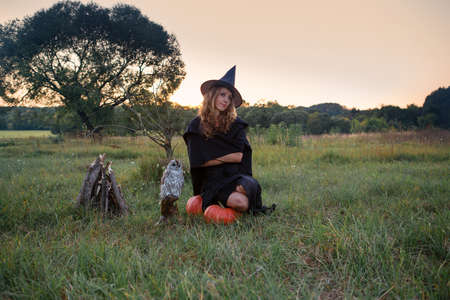 Witch in a field with an owl preparing for the Sabbathの写真素材