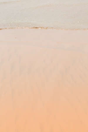Golden wet sand in the ocean, summer backgroundの写真素材