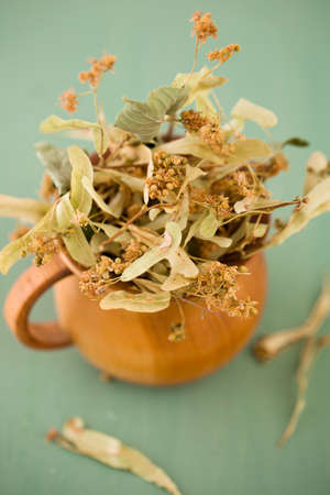 Dry linden flowers for linden tea in a wooden mugの写真素材