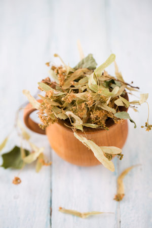 Dry linden flowers for linden tea in a wooden mugの写真素材