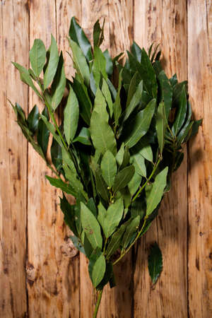 Bouquet of fresh branches of laurel leaves on wooden backgroundの写真素材