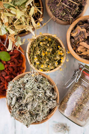 Dry herbs for medicinal tea. Top view collectionの写真素材