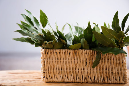 Bouquet of fresh branches of laurel leaves on wooden backgroundの写真素材