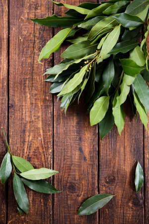 Bouquet of fresh branches of laurel leaves on wooden backgroundの写真素材