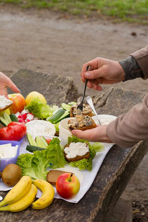 Spring picnic in the park cheese, mushroom spread with vegetables and fruitsの写真素材