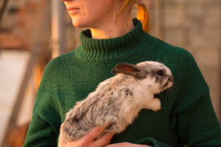 A young woman in a green sweater holds a small rabbit in her handsの写真素材