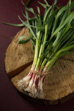 A bunch of young green garlic leaves on a dark backgroundの写真素材