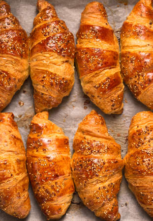 big croissants on parchment for baking, top viewの写真素材