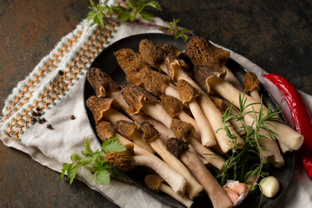 Morel forest mushrooms with spicy spices and aromatic vegetablesの写真素材