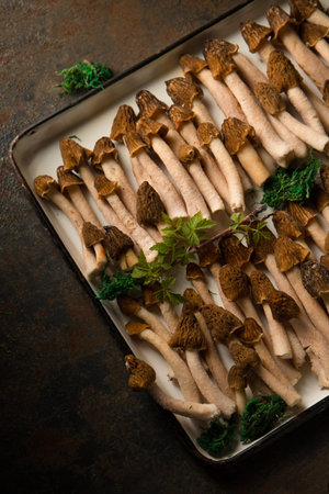 Morel mushrooms on a white metal trayの写真素材
