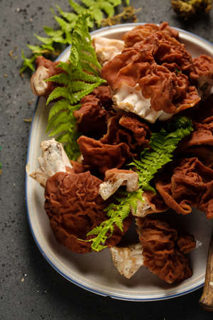 Still life of forest mushrooms on a plate on a gray backgroundの写真素材