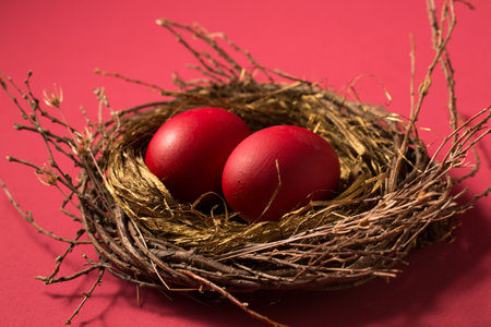 Big red eggs in a small nest on a pink background.の写真素材