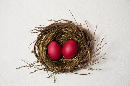 Big eggs in the bird's nest on a white background.の写真素材