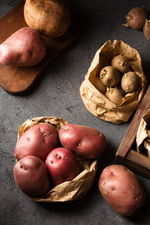 Various varieties of potatoes. Germination of sprouts on potatoes for planting in the groundの写真素材