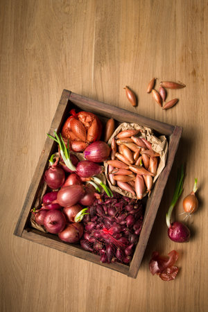 Many different varieties of onions for planting in the ground on a wooden tableの写真素材