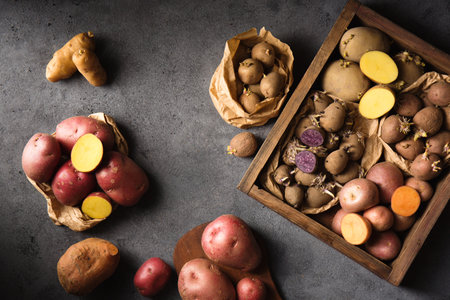 Various varieties of potatoes. Germination of sprouts on potatoes for planting in the groundの写真素材