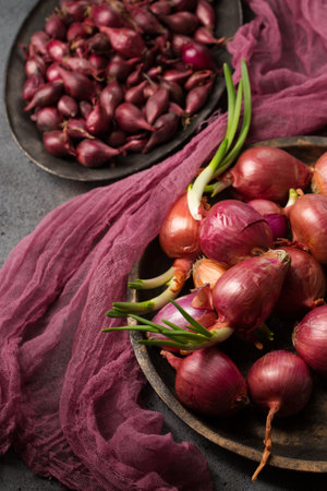 Delicious juicy salad purple onions for planting in the ground on a gray backgroundの写真素材