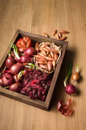 Many different varieties of onions for planting in the ground on a wooden tableの写真素材