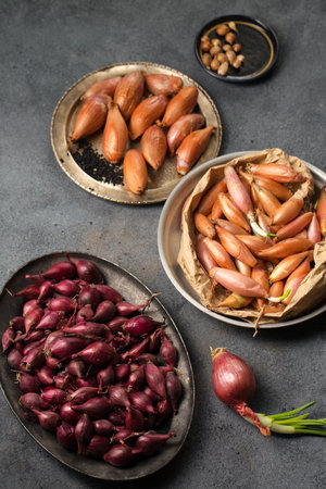 Many different varieties of onions for planting in the ground on a gray backgroundの写真素材