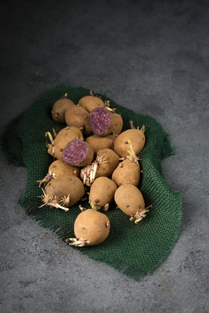 Germination of sprouts on potatoes for planting in the groundの写真素材