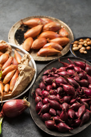 Many different varieties of onions for planting in the ground on a gray backgroundの写真素材