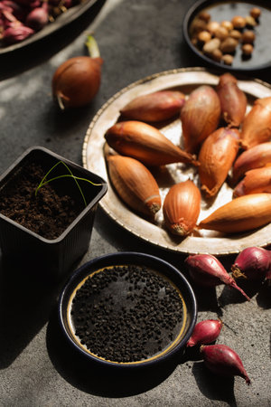 Many different varieties of onions for planting in the ground on a gray backgroundの写真素材