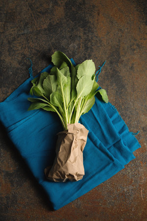 Fresh cabbage seedling on a dark backgroundの写真素材