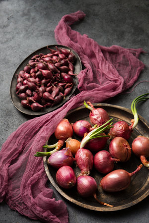Delicious juicy salad purple onions for planting in the ground on a gray backgroundの写真素材