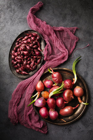Delicious juicy salad purple onions for planting in the ground on a gray backgroundの写真素材