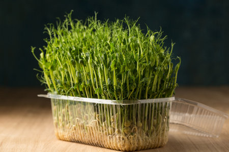 Sprouts of sprouted peas, microgreens in a box on a wooden tableの写真素材