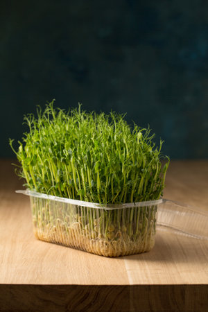 Sprouts of sprouted peas, microgreens in a box on a wooden tableの写真素材