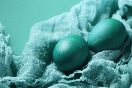 Pink chicken eggs on turquoise gauze on a turquoise background.の写真素材