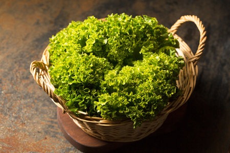 Fresh juicy curly lettuce in basket, photo in rustic style, close-upの写真素材