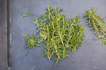 Sprigs of aromatic rosemary on a black wooden backgroundの写真素材