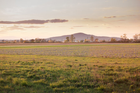 A wild field with grass on the background of a mountain in the rays of the evening lightの写真素材