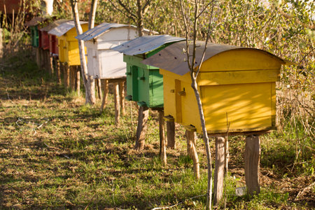 Small colorful beehives in a spring garden on a sunny dayの写真素材