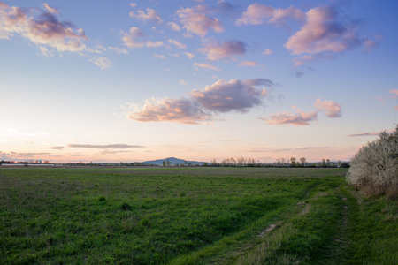 A wild field with grass on the background of a mountain in the rays of the evening lightの写真素材