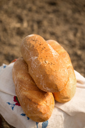 Homemade bread on an embroidered Ukrainian towel, cooling in the outdoorsの写真素材