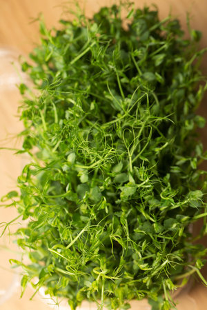 Sprouted pea sprouts, microgreens in a box on a wooden table