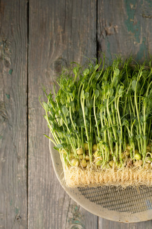 Sprouted pea sprouts, microgreens in a plate on a wooden backgroundの写真素材